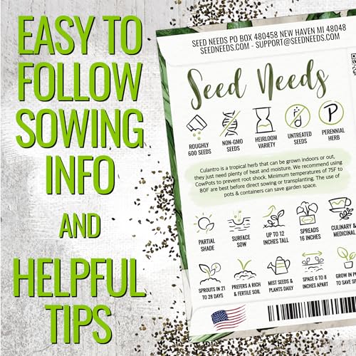 Seed Needs Culantro Seeds for Planting Mexican Coriander - Non-GMO Heirloom & Untreated Culinary/Medicinal Herbs to Grow an Indoor/Outdoor Herb Garden (1 Pack) - Image 4