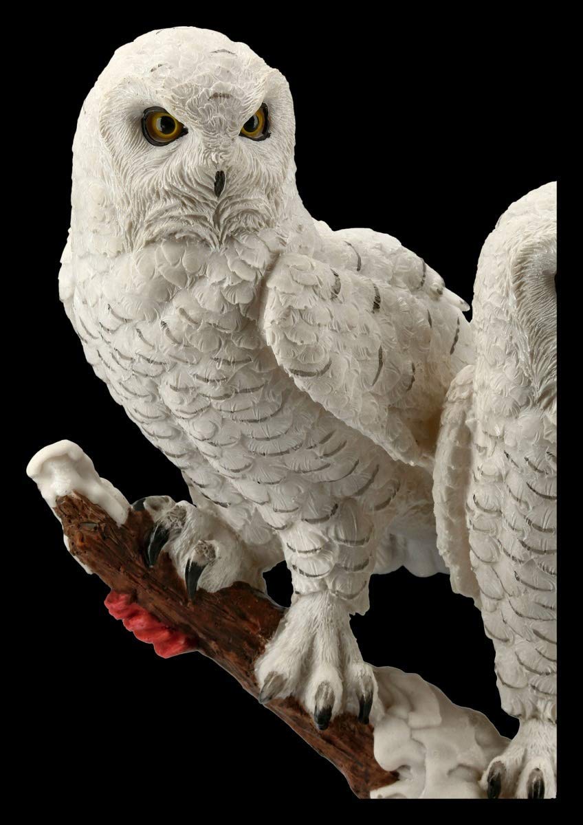 Figuren Shop GmbH Gufi Statuetta - Schneeeulen Paio su Ramo Vogel-Figur, Figura-Decorativa, Articolo Decorazione, Statua, Scultura, H 30 CM