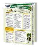 How to Grow Wheatgrass, Sprouts and Beans - Raw Vegan Living Food Quick Reference Guide by Permacharts