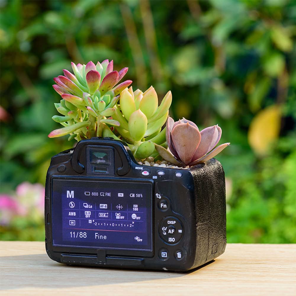 Baymate Pot De Fleur - Phonographe, Pot De Fleurs D'Interieur, Accueil