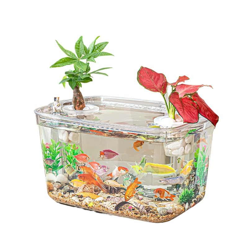 Amazon | 金魚 水槽 アクリル 金魚鉢 プラスチック 透明 メダカの水槽 