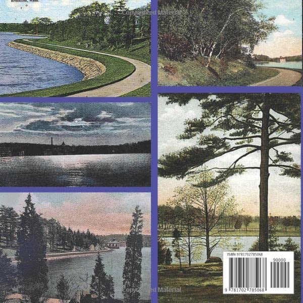 The Chestnut Hill Reservoir & Water Works ≈ A Visual History