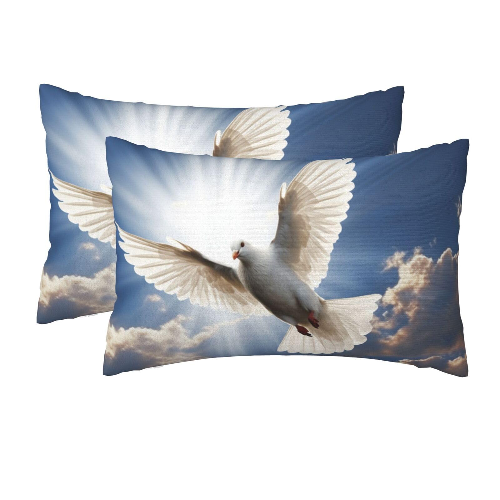 2 Pack Queen Pillow Cases with Hidden Zipper, Soft Breathable Pillow Covers for Hair and Skin, Dove Sky Pillowcases 20"x30" Bed Pillow Protectors Cover for Sleeping Gifts