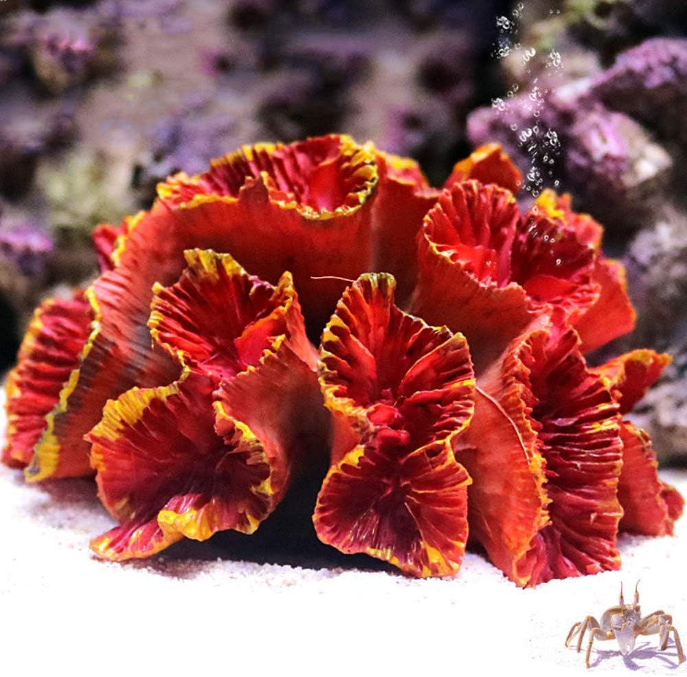 Danmu 1Pc of Polyresin Coral Ornament, Aquarium Coral Decor 3 1/10" x 2 1/3" x 1 9/10" for Fish Tank Aquarium Decoration