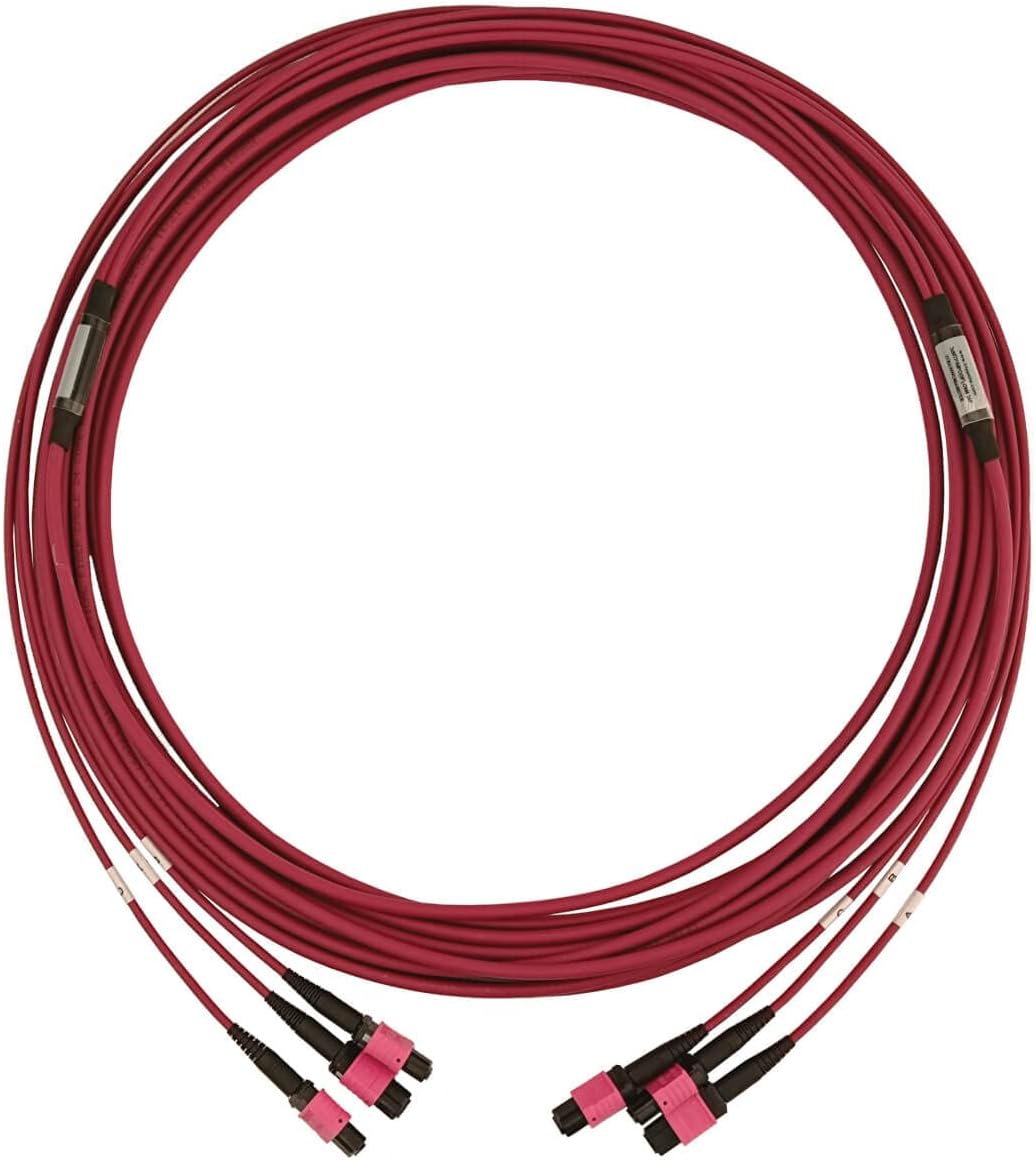 Tripp Lite Multimode Fiber Optic Cable, 50/125 OM4 MTP/MPO (3xF/3xF), 24-Strand, 40/100/400GbE, LSZH Jacket, Magenta, 10 Meters / 32.8 Feet, Lifetime Limited Manufacturer's Warranty (N858B-10M-3X8MG) : Everything Else