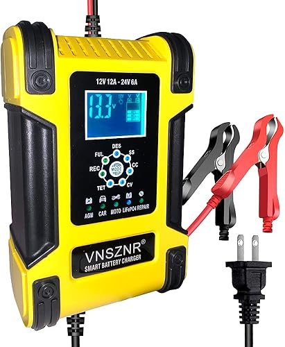 LiFePO4 Cargador de batería de motocicleta 12V 12A24V 6A Cargador automático inteligente de reparación de pulso para LiFePO4, AGM, baterías de