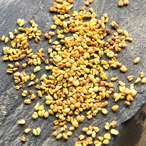 通用 50g-500g Té de Hierbas Té de Trigo sarraceno terciario Amarillo Perder Peso y relajación Comida Verde (100g) - Imagen 7