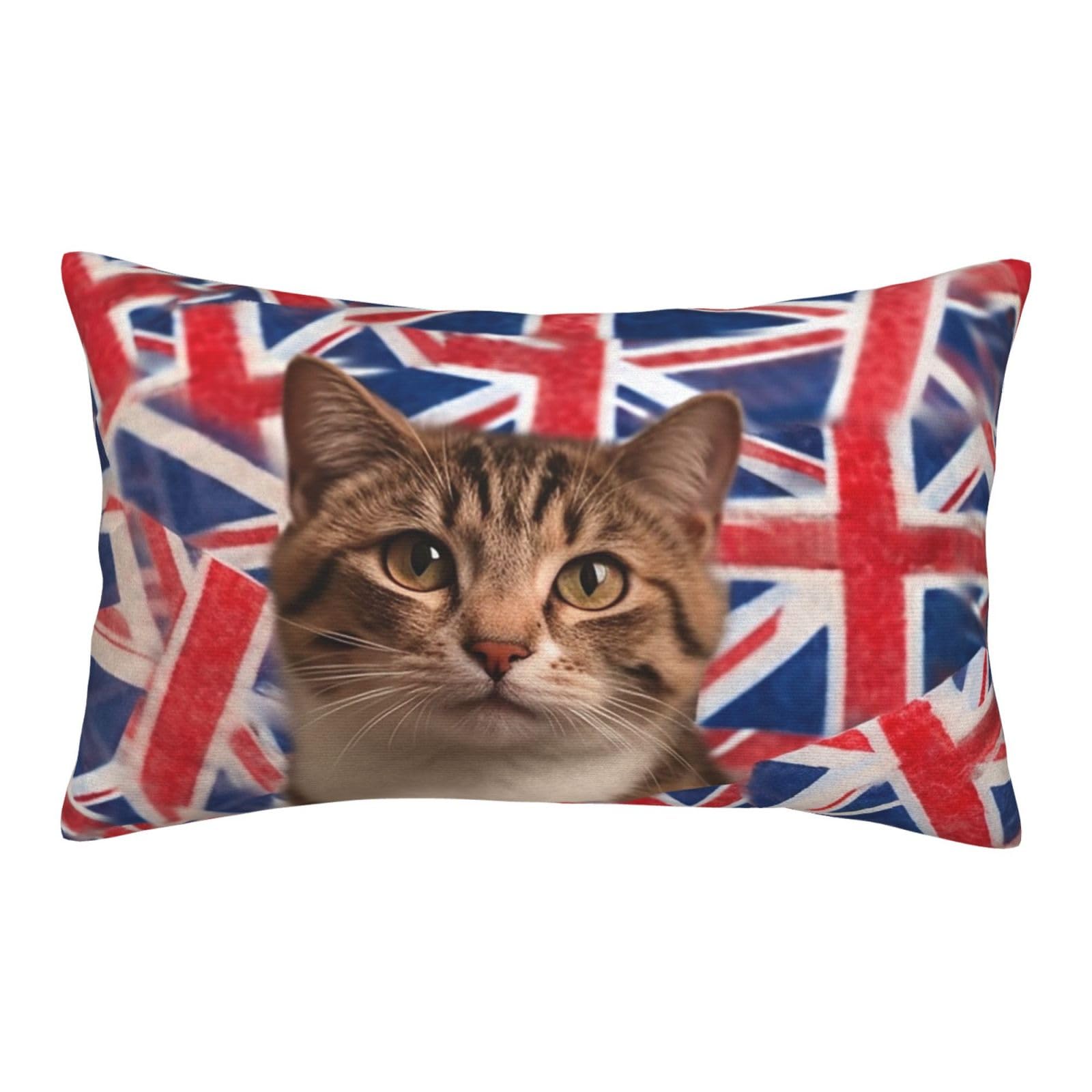 Velvet Pillowcases 20"x30" Ultra Soft Breathable Pillow Cases, Luxury Fuzzy Throw Pillow Covers with Zipper, Cat British Flag Bunting Pillow Shams All Seasons Decorative Cushion Cases for Couch