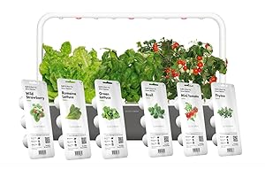 Click and Grow 9: Revolutionizing Home Gardening