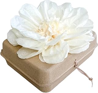 Biodegradable urn for Water and Ground Burial (Large - Adult)