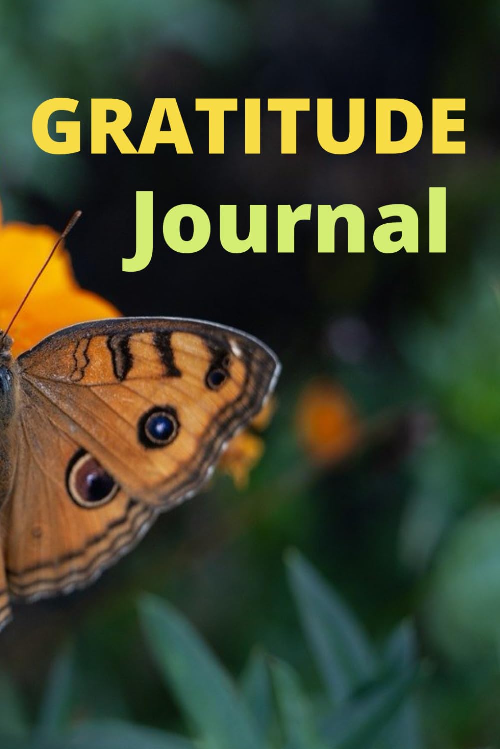 Gratitude Journaling: A Journal of Thankfulness