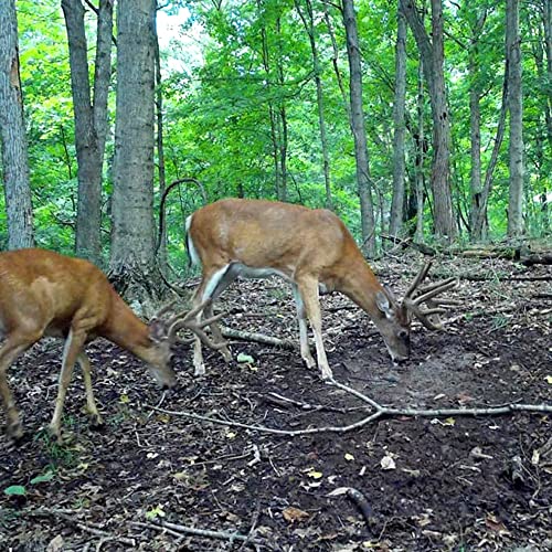 Antler King Trophy Deer Mineral - Thumbnail 4