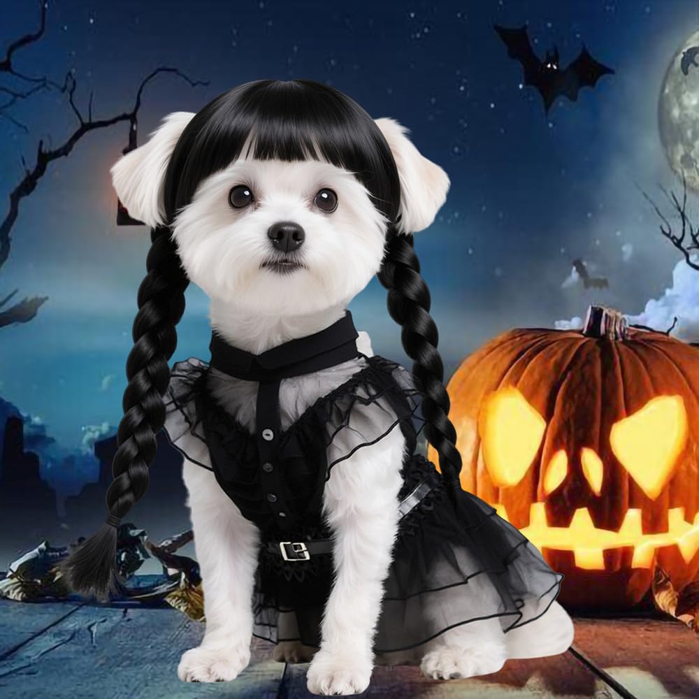 AN002S Lot de 3 vêtements pour chiens de petite taille avec perruque et ceinture – Vêtements pour chiens et chats – Costume pour cosplay, Halloween, fête d'anniversaire – Noir