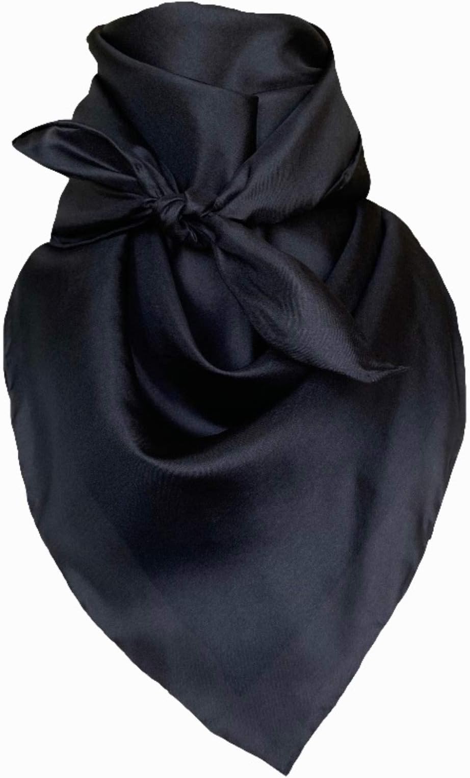 Wyoming TradersMen's Solid Lightweight Breathable Casual Regular Silk Scarf