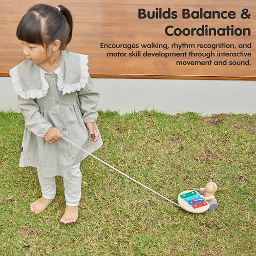 Image of PlanToys Pull-Along Musical Bear (5271)