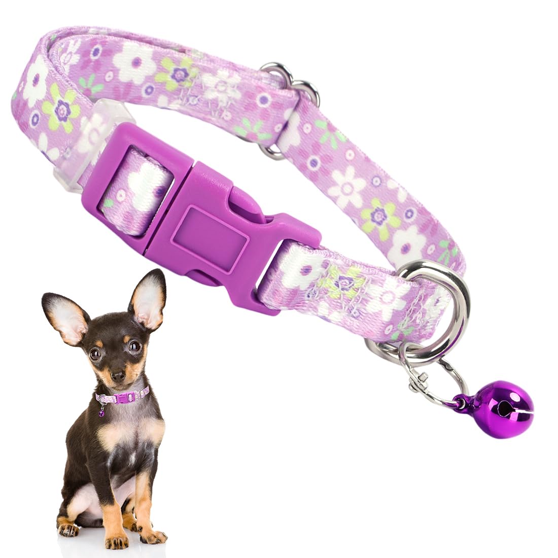 Collier chat clochette violet pour identifier un chaton joueur taille S