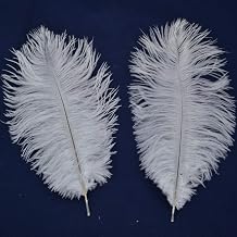 Shekyeon White 10-12inch 25-30cm Ostrich Feather Home Decoration DIY Craft Pack of 10