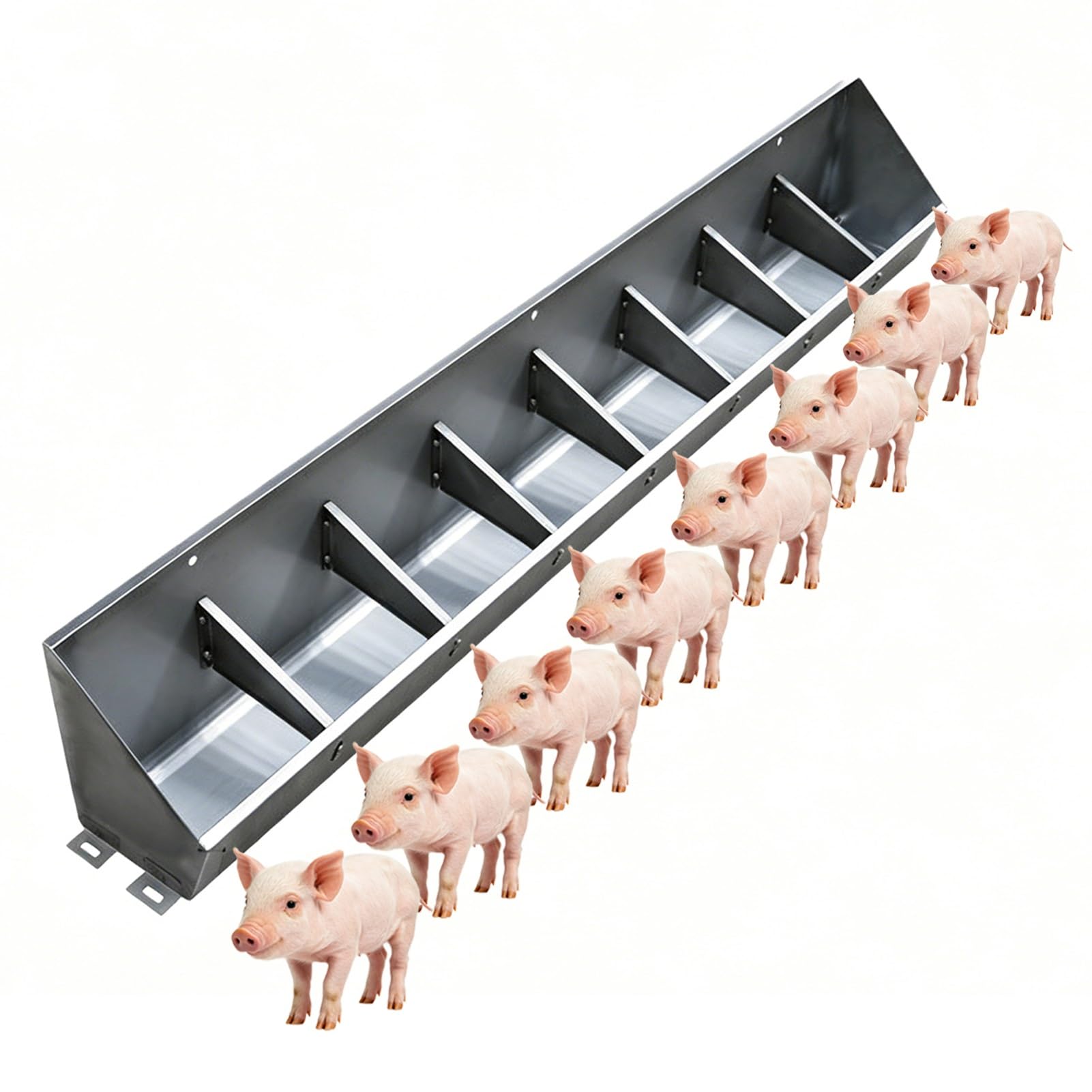 Mangeoire pour porcs en inox L150cm à 8 compartiments pour élevage