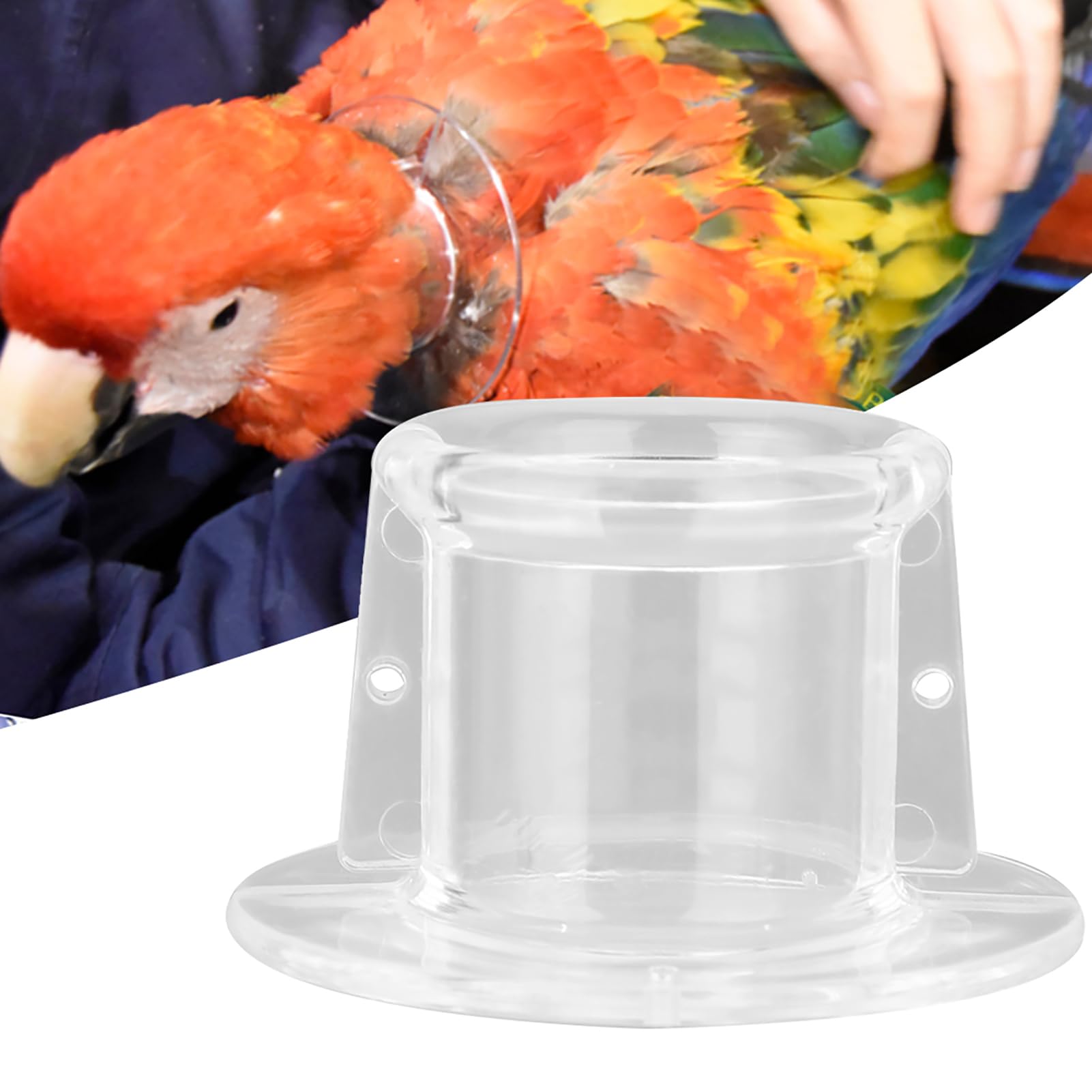 Akozon Collar protector para guacamayos y loros grises - previene mordeduras, lamidos de plumas y cicatrización de heridas - protección del cuello segura y práctica para la recuperación (M