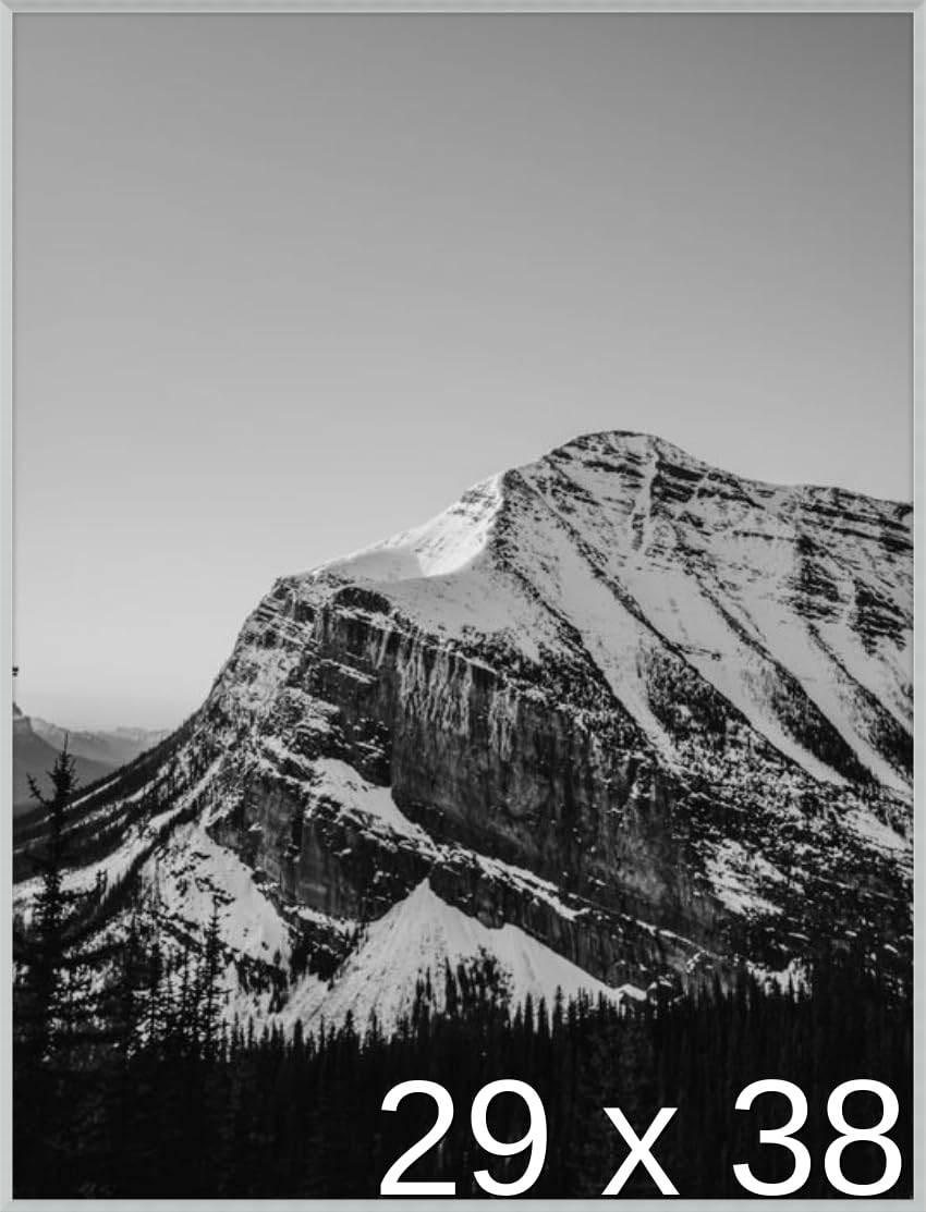 Frame It Easy 29 x 38 Satin Silver Metal Frame (Ashford)