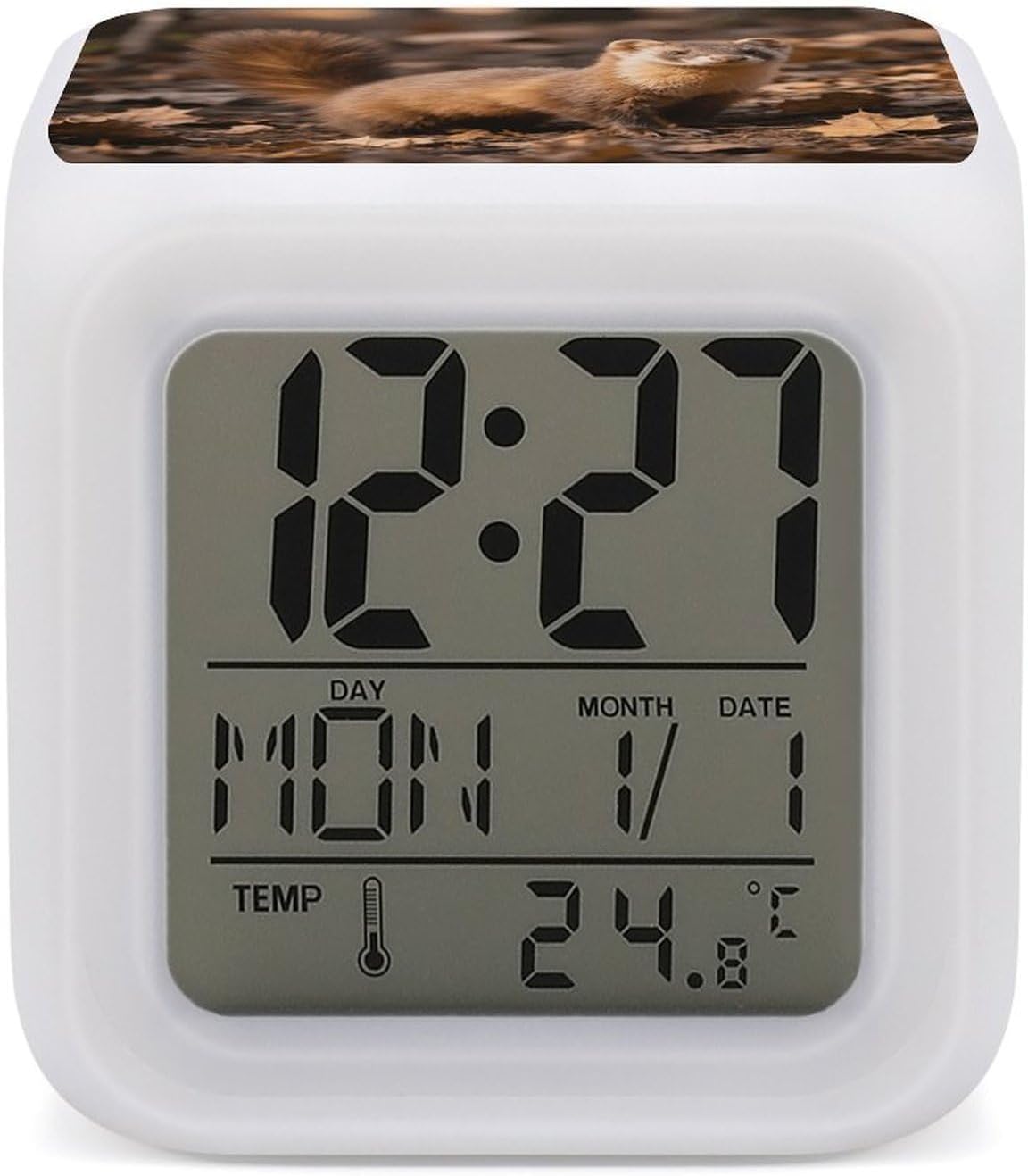 Ferret Alarm Clock NightLight Alarm Clock with 7 Color Changing Night Light Smart Digital Clocks Temperature Date for Heavy Sleepers Simple Operation Easy to Use