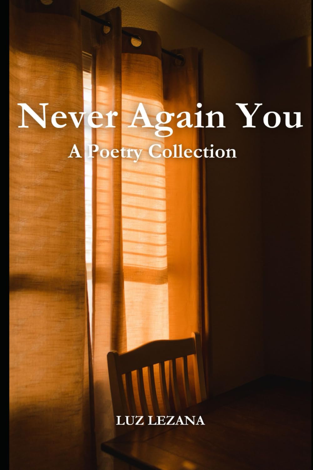 Never Again You: A Poetry Collection