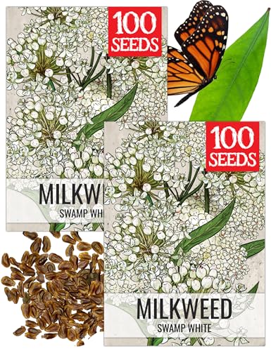 Image of Seed Needs White Swamp Milkweed Seeds for Monarch Butterflies 2 Packs