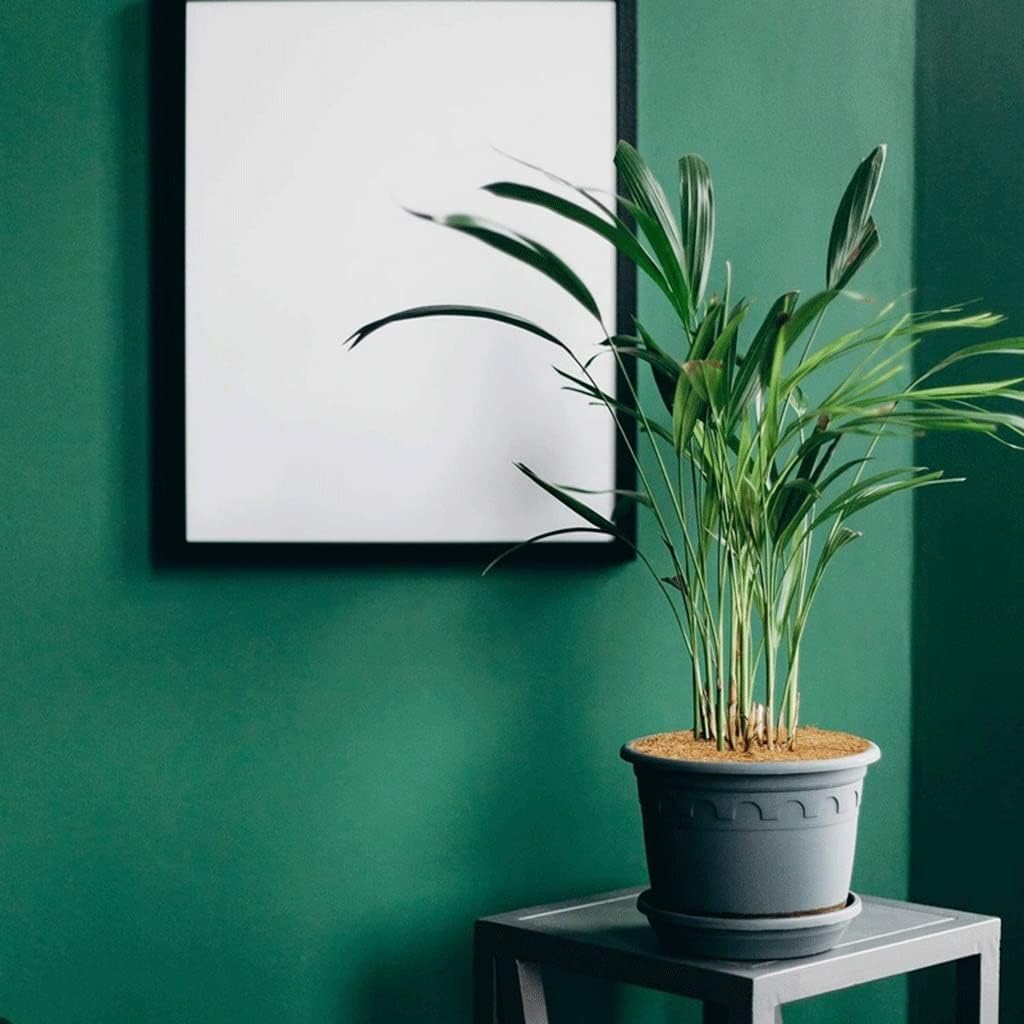 雑草防止マット， 12個入り 11.8インチ ココヤシ繊維 ツリーマルチリングプロテクターマット - ココライナーマルチマット ディ