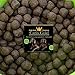 Canis Gold 10 kg Adult 60% Kaninchen | Monoprotein | getreidefreies Super Premium Hunde Trockenfutter | mit Grünlippmuschel