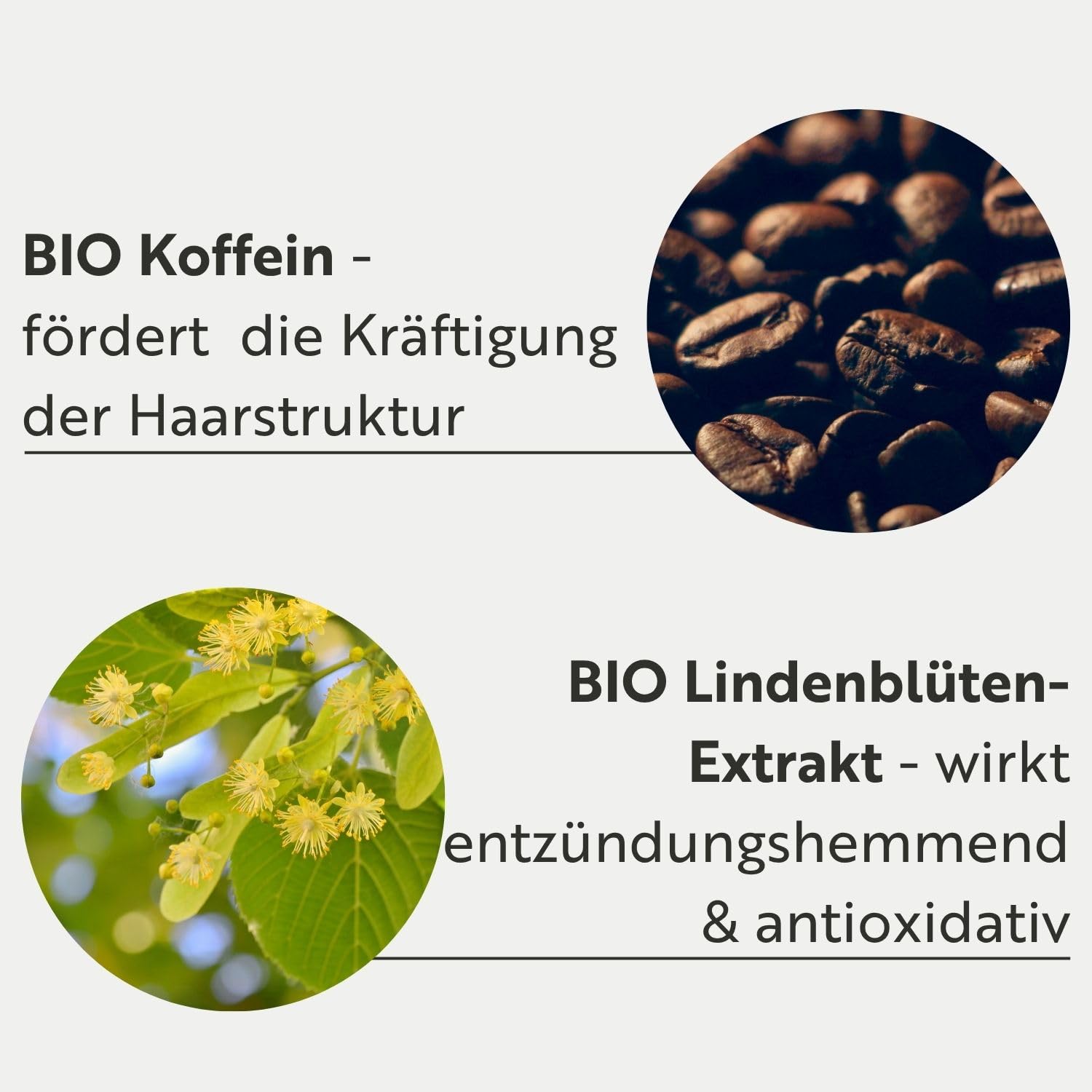 ahuhu Thickening Coffein Shampoo Power Formula (500ml) | Koffein für voller wirkendes Haar, Haarwachstum mit aktivierender Pflege, Gegen Haarausfall für mehr Volumen