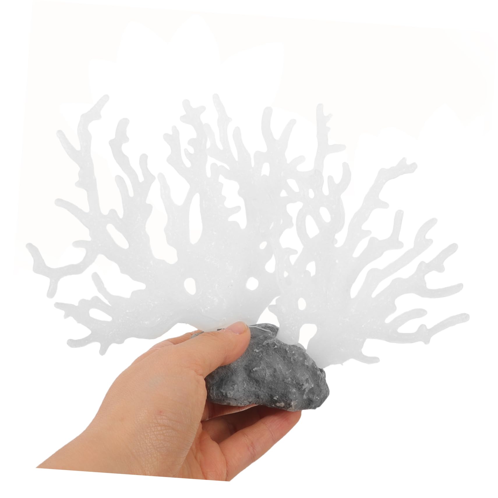 中型ホワイトサンゴ 自然形状