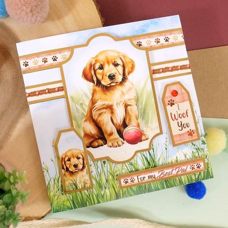 Hunkydory - Tarjetas rápidas: kit para hacer tarjetas (mascotas perfectas)