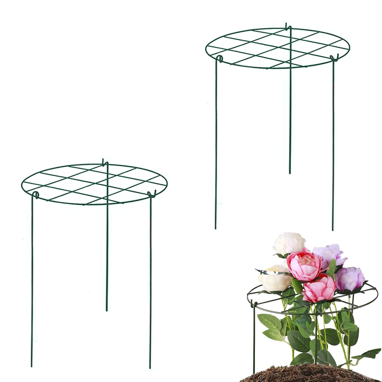 pflanztöpfe durchsichtig Durchsichtige Pflanztöpfe für orchideen Kaufen? ✓ Schneller Versand! –  Sybotanica
