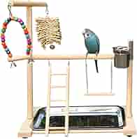 Amazon | インコ 遊び場 鳥の遊び場 止まり木 鳥用 遊び場