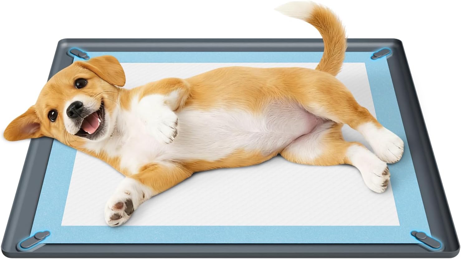 Magnetic Dog Pad Holder, Leak-Proof, 24″x24″ for Training