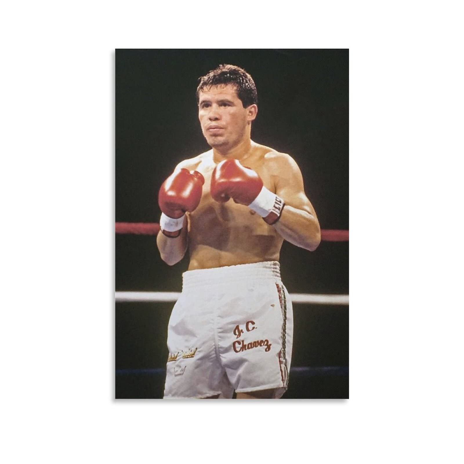 NIUROUBAOZHI Julio Cesar Chavez Professional Boxer Pride Art Poster Canvas Poster Wall Art Picture Prints Hanging Photo Gift Idea Decor Home Posters Artworks 24x36inch(60x90cm)