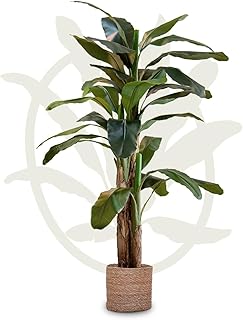 Maia Shop Artificial Banana Tree, 210 cm for Home and Office Decoration. Hyper-realistic Decorative Artificial Plant with Natural Trunk