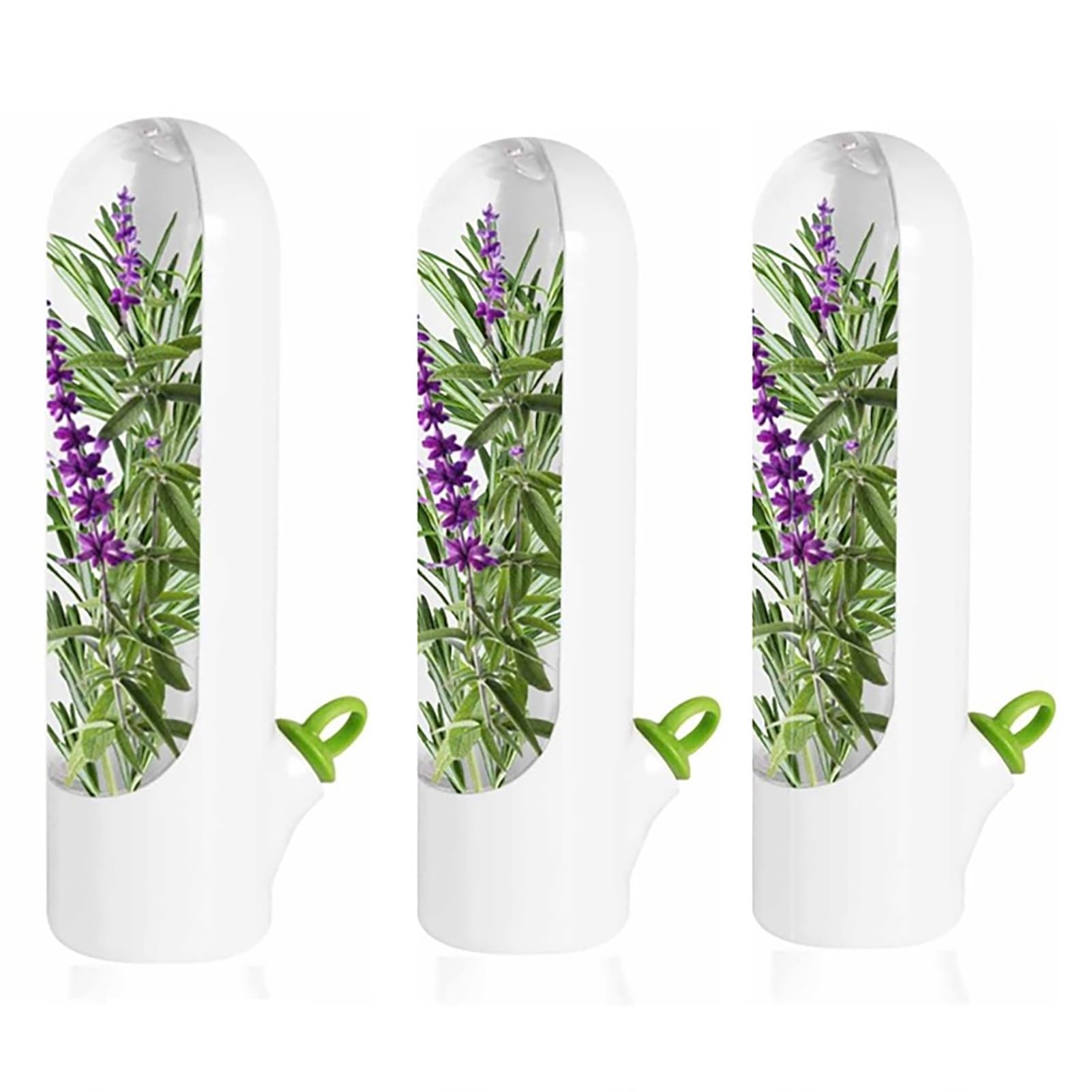 KSGSFSA Coriander, Parsley, Asparagus Fresh Herbs Storage Box Vegetable Container Storage for Long-term Freshness, Refrigerator Herb Saver (3Pcs)