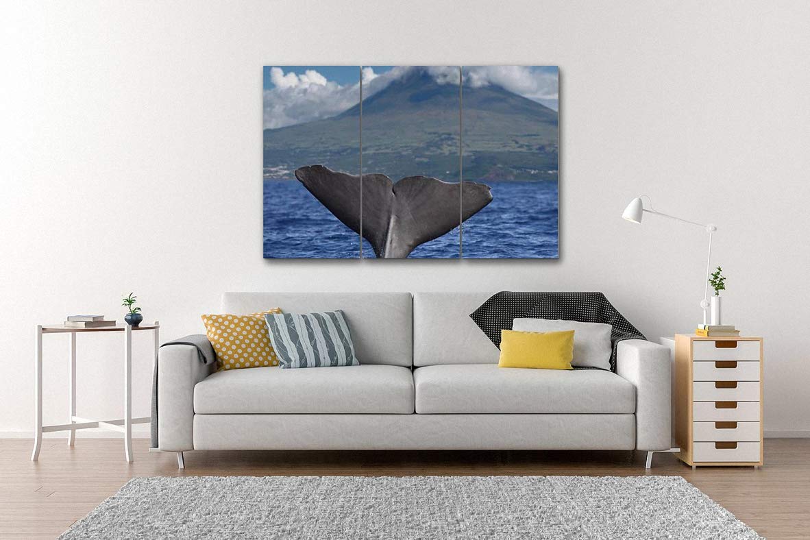 Amazon.com: 7houarts 大鯨魚鰭火山皮前面Azores 群島壁掛藝術品海報現代居家牆面獨特圖案牆面裝飾繃框式- 3 件: 居家與廚房