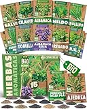 ZenGreens® - Set de semillas de hierbas bio - 15 variedades para cultivar fácilmente en el jardín, balcón o parterre elevado - Plantas aromáticas - Sementes verduras