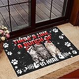 NA Felpudo Entrada casa Gato del Bosque Noruego Hay como un montón de aquí Felpudo Felpudo de Navidad Gato Decoracion Hogar Regalos NA Felpudo Entrada casa Gato del Bosque Noruego Hay como un montón de aquí Felpudo Felpudo de Navidad Gato Decoracion Hogar Regalos