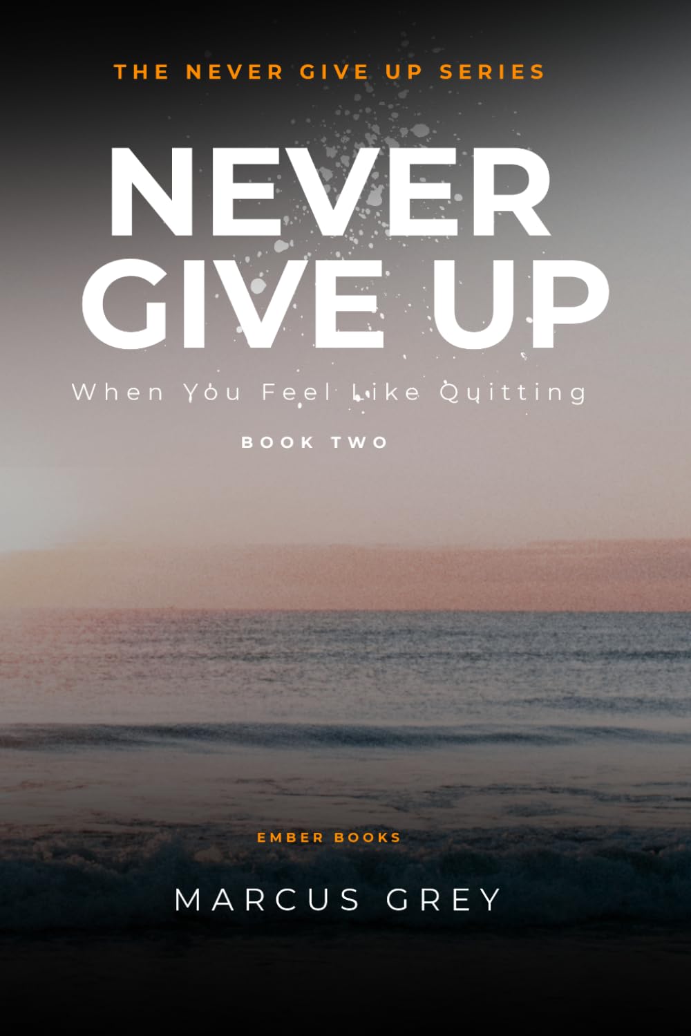 Never Give Up: When You Feel Like Quitting (The Never Give Up Series)
