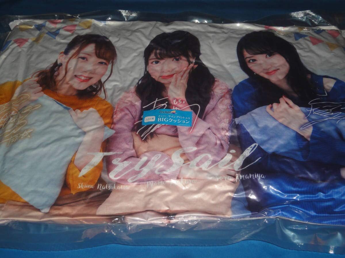 2PM のサイン入りクッション 非売品 2PM のサイン入りクッション 非売品 2PM のサイン入りクッション