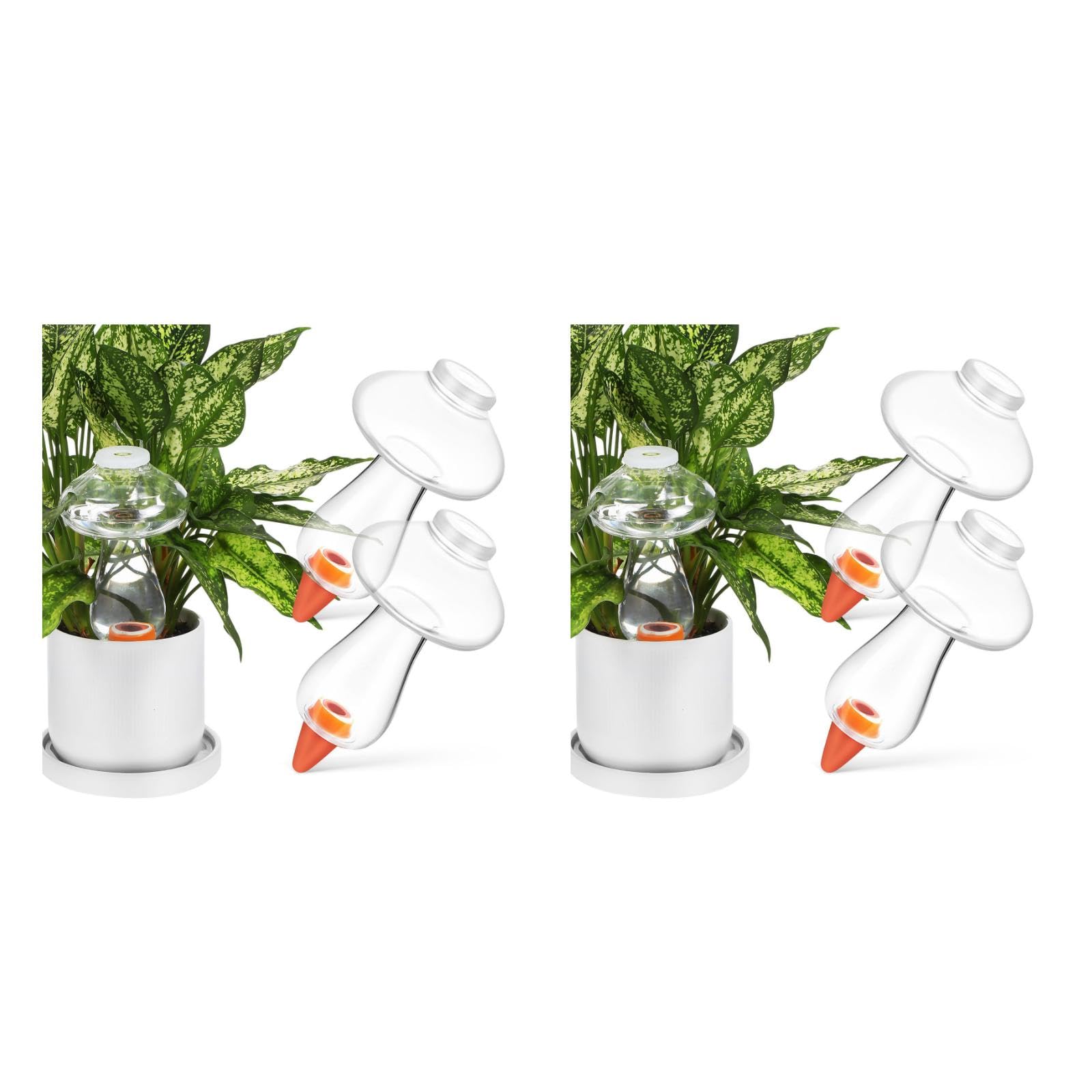 Kisangel Globes D'arrosage pour Plantes À Champignons 6 Pièces Pointes D'arrosage pour Plantes 300 ML Pointes D'arrosage Automatique pour Champignons Ampoule D'arrosage pour Plantes