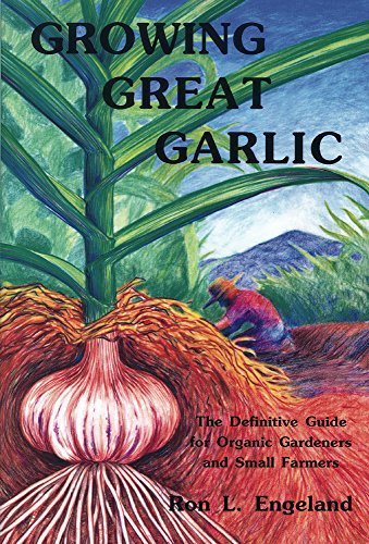 Growing Great Garlic: The Definitive Guide for Organic Gardeners and Small Farmers by Ron L. Engeland (1991-11-01)      Paperback – January 1, 1884