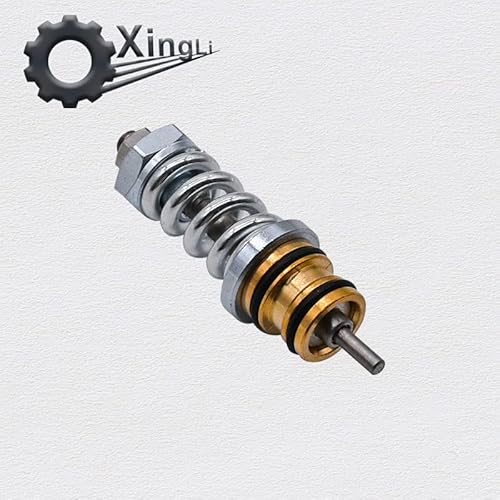 Xingli 310924003 Unloader Valve Kit Suitable For Coleman Powermate Fit For Simpson High Pressure Washer Pumps #TOP3