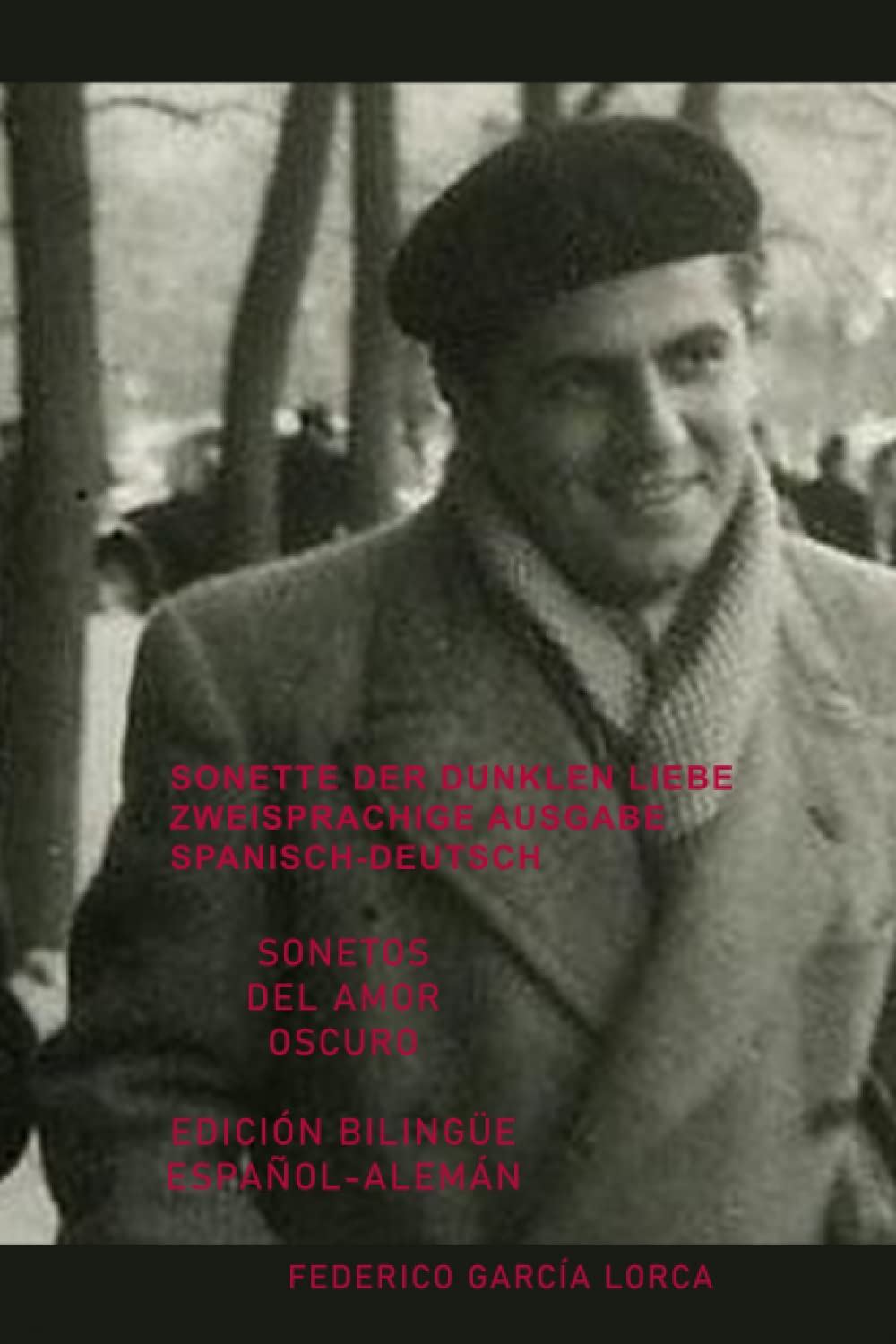 SONETTE DER DUNKLEN LIEBE - ZWEISPRACHIGE AUSGABE SPANISCH-DEUTSCH: Sonetos del amor oscuro - edición bilingüe español - alemán