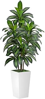 Dracaena Tree 5FT Artificial, 60in Tall Faux Dracaena Tree with 15.7 Whi...