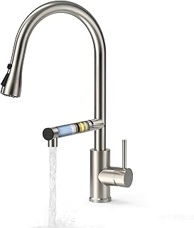 FEELSO Küchenarmatur mit Filter, 2-in-1 Wasserhahn Küche Ausziehbar mit 2 Strahlarten, 360° Drehbare Spültischarmatur aus SUS304 Edelstahl für Küche, Bleifrei