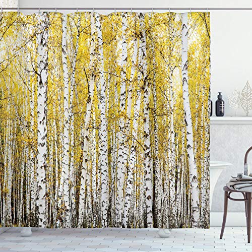 ABAKUHAUS Forest Shower Curtain, Autumn Birch Forest Golden Yellow Leaves Woodland October Seasonal Nature Picture